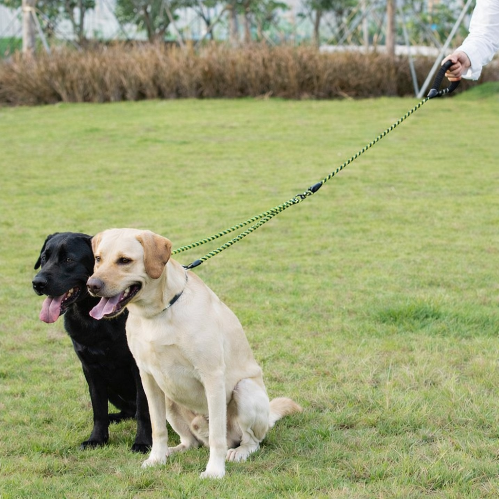 Laisse double pour chien nylon résistant - Double Dog