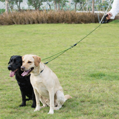 Laisse double pour chien nylon résistant - Double Dog