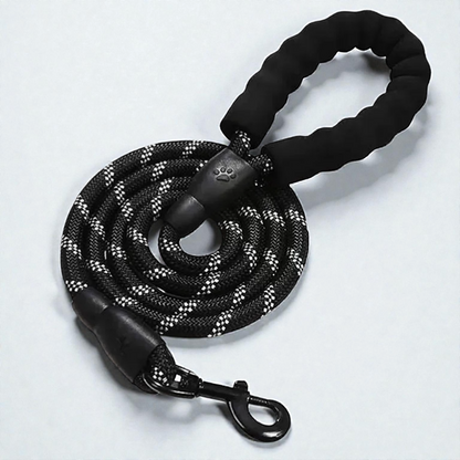 Laisse pour petit chien - Corde tressée