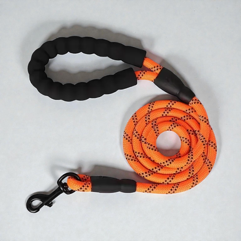 Laisse pour petit chien - Corde tressée