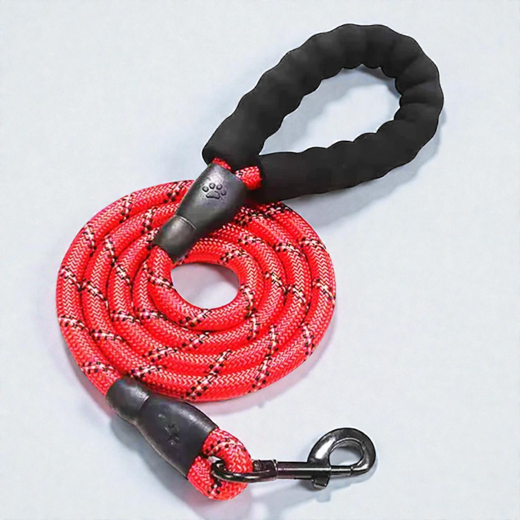 Laisse pour petit chien - Corde tressée