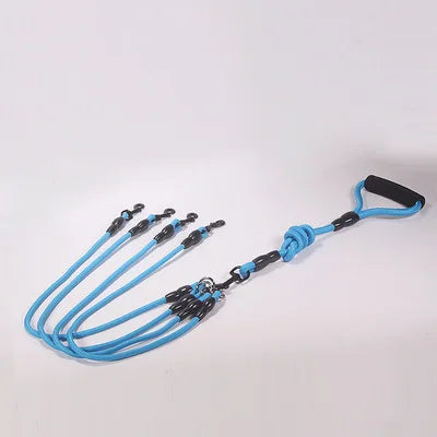 Laisse quadruple pour chien - Bleu
