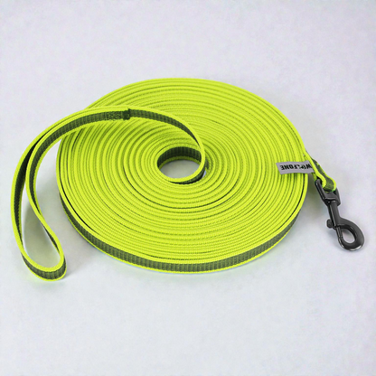 Laisse pour chien nylon renforcé - Solide & Confortable 2/3/5M