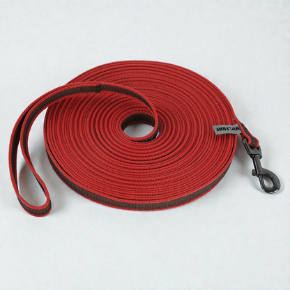 Laisse pour chien nylon renforcé - Solide & Confortable 2/3/5M