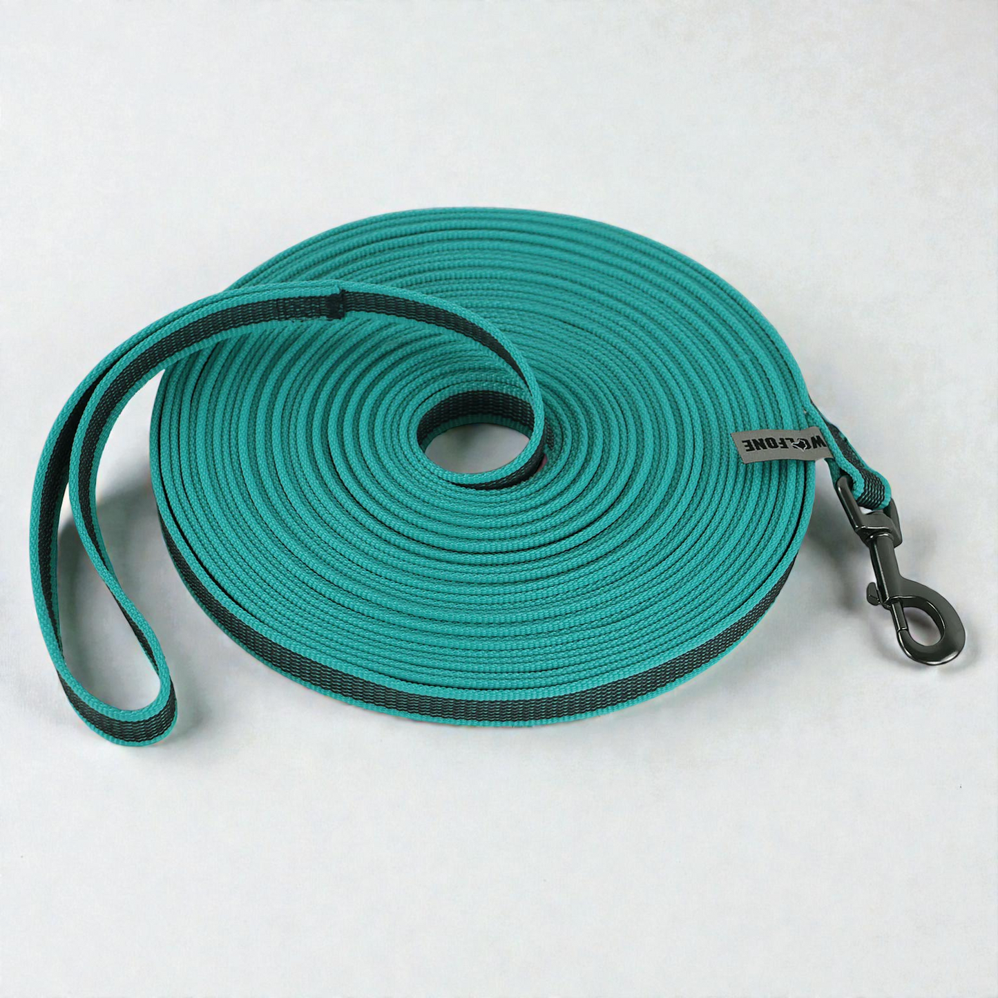 Laisse pour chien nylon renforcé - Solide & Confortable 2/3/5M