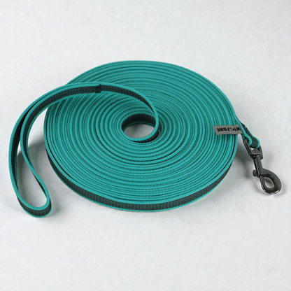 Laisse pour chien nylon renforcé - Solide & Confortable 2/3/5M