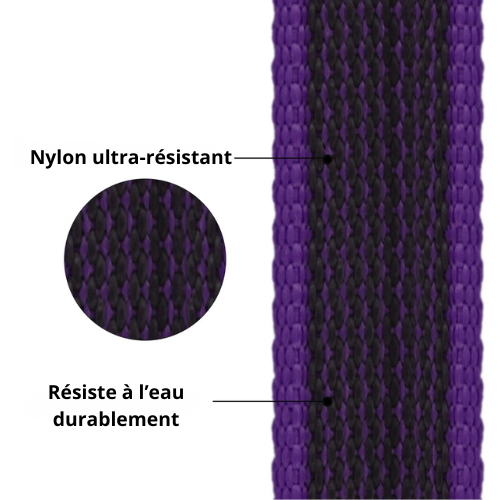 Laisse pour chien nylon renforcé - Solide & Confortable 2/3/5M