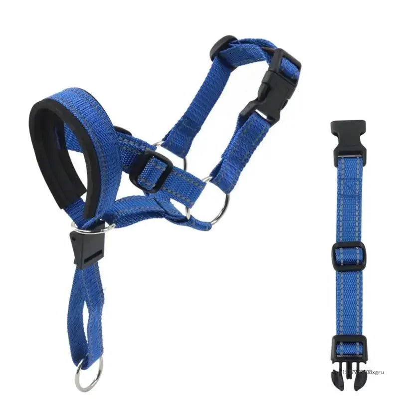 Licol pour chien - Bleu