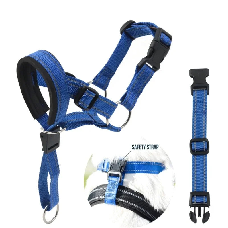 Licol pour chien - strap