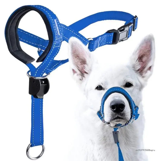 Licol pour chien