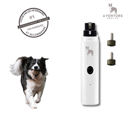 Lime a griffe chien - + 2 embouts