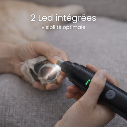 Lime électrique pour chien - Moteur silencieux & LED intégré