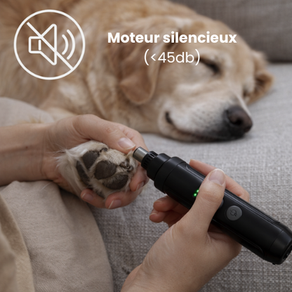 Lime électrique pour chien - Moteur silencieux & LED intégré