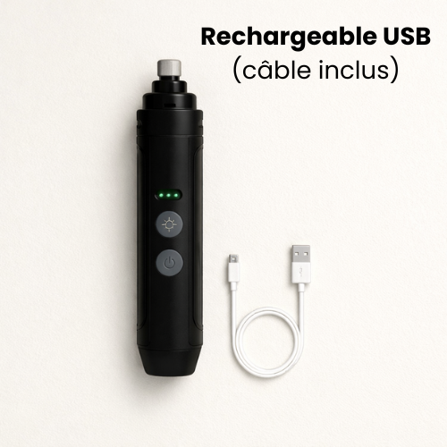 Lime électrique pour chien - Moteur silencieux & LED intégré