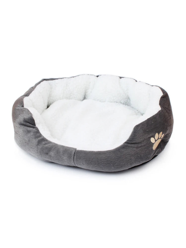 Lit pour petit chien - Photo