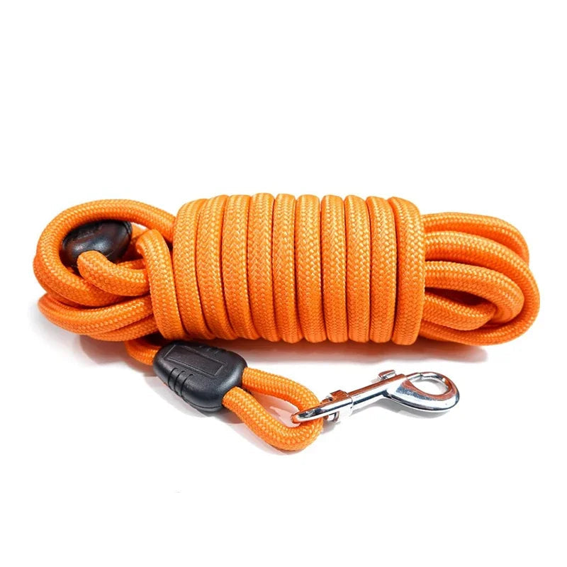 Longe corde pour Chien - Orange
