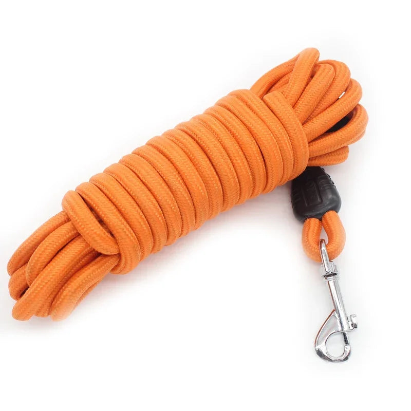 Longe corde pour Chien 