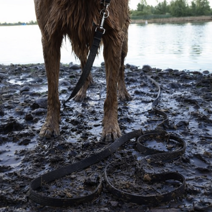 Longe pour chien 5/10/15/20/30M - Free Line