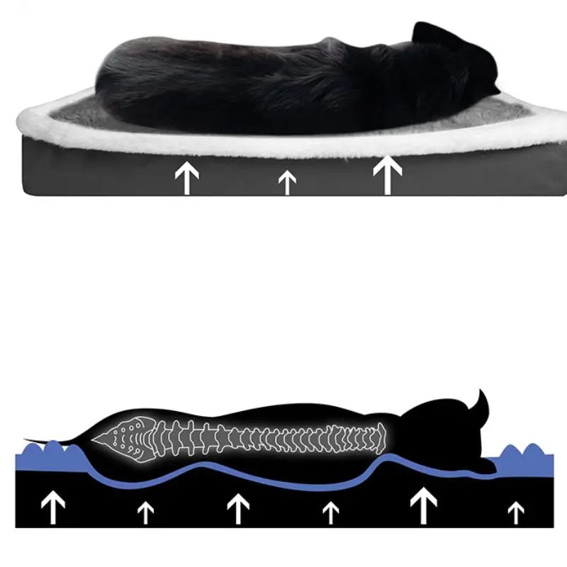 Matelas orthopédique pour chien - Démo