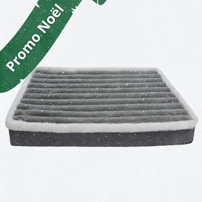 Matelas orthopédique pour chien