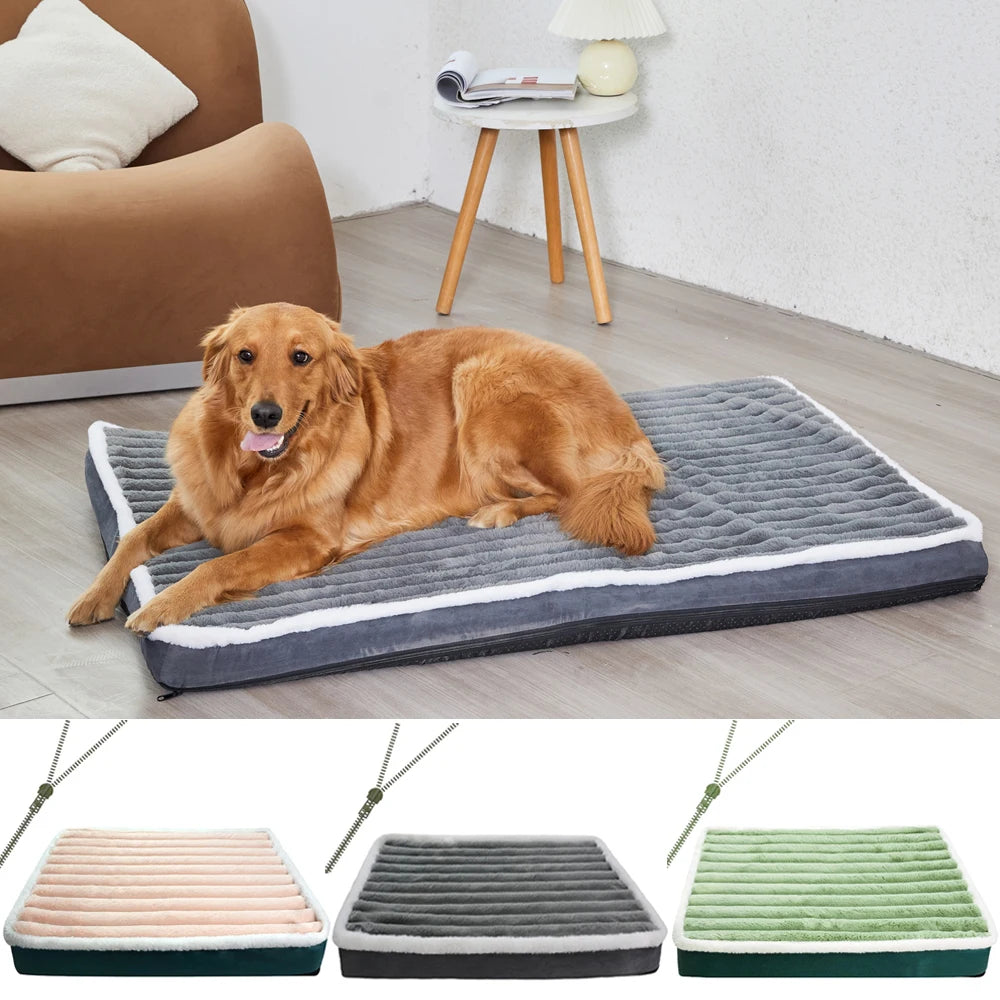 Matelas orthopédique pour chien