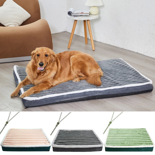 Matelas orthopédique pour chien