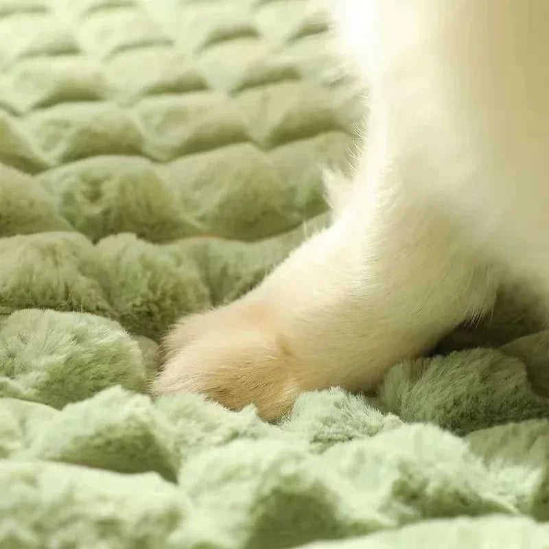 Matelas pour chien à mémoire de forme - Moelleux
