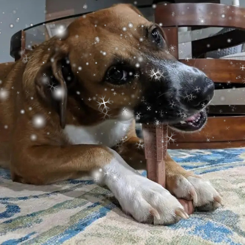Bâton de mastication avec prise - GripChew