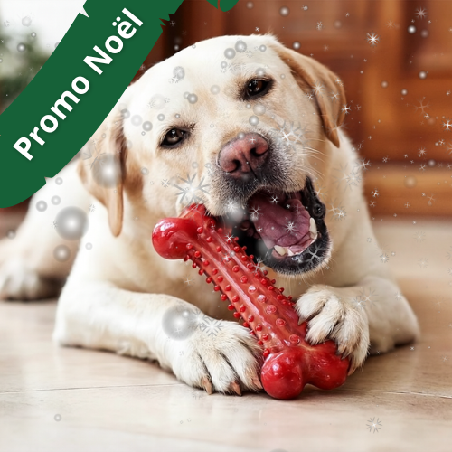 Os à mâcher pour chien en caoutchouc - TitanRubber