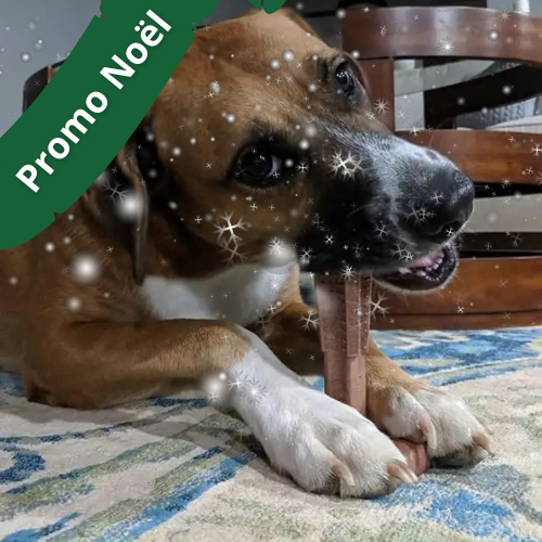 Bâton de mastication avec prise - GripChew