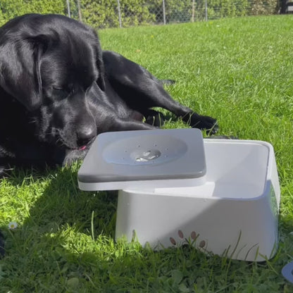 Gamelle anti éclaboussure - Zero Splash Démo