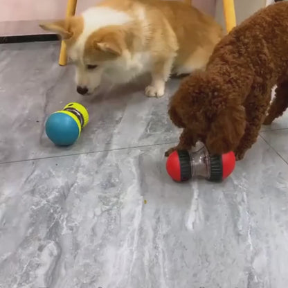 Distributeur de friandises pour chien - Capsule Gourmande