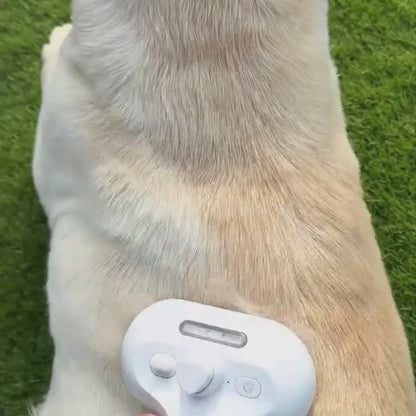 Brosse vapeur - FurMist Démo