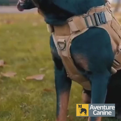 Harnais tactique chien - AC Pro