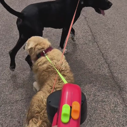 Laisse double anti-nœud - Duo Flex : Balade Fluide