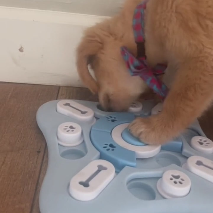 Puzzle pour Chien - Puzzle Gourmet