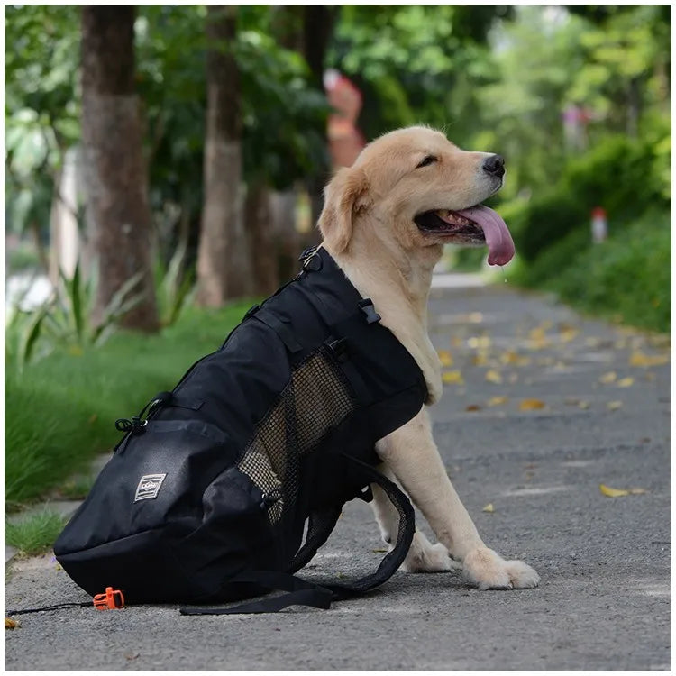 Sac à Dos de Transport pour Chien - Noir