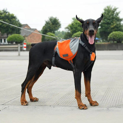 Sac de bât pour chien-1