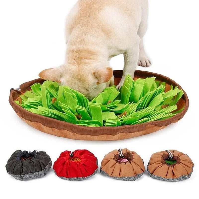 Tapis de Fouille pour Chien - Salade
