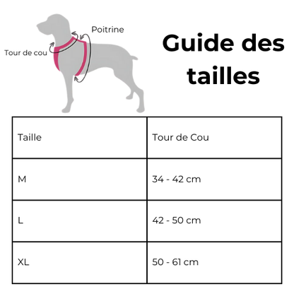 Collier "I'm spécial" - Aventure Canine™